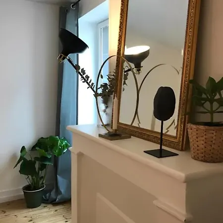 T1 In The Historical Centre * Clermont-Ferrand